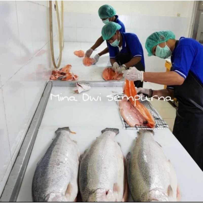 

Salmon Fillet Ekor @1Kg Frozen Premium