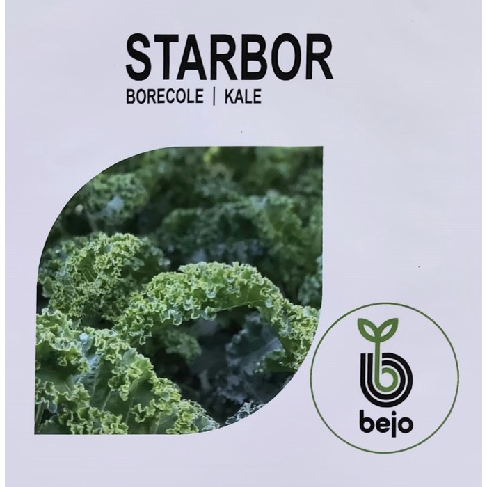 JTTOP" BENIH BEJO SEED - KALE CURLY STARBOR KEMASAN 100 SEEDS
