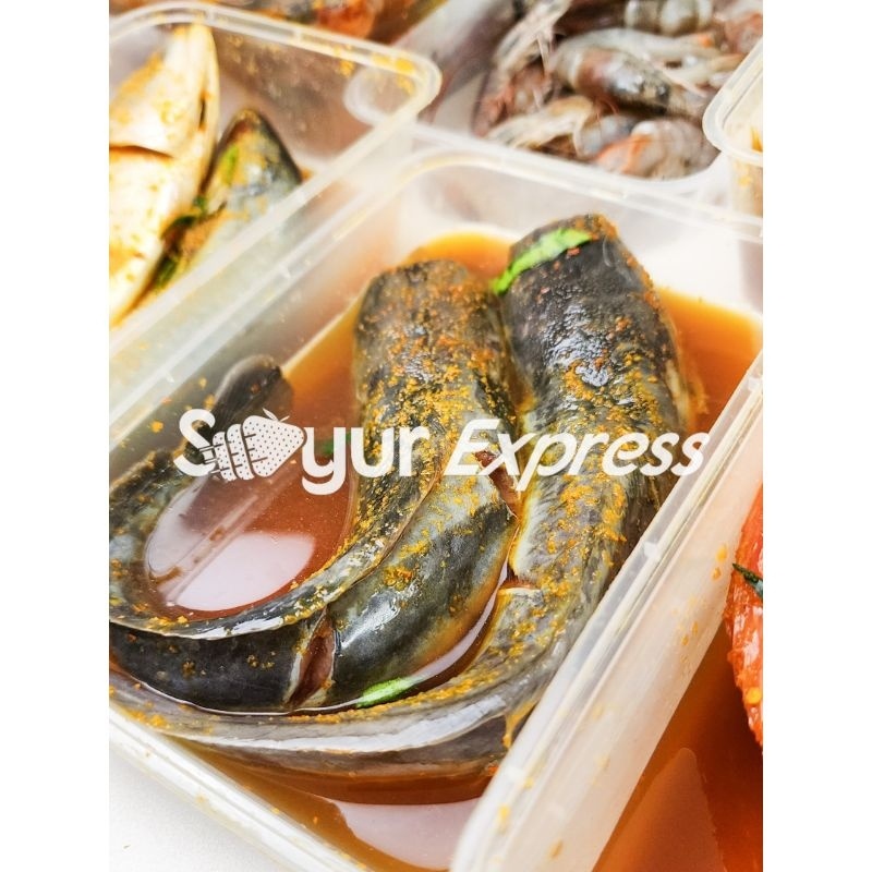 

KIRIM INSTAN Lele Bumbu Kuning 2 ekor