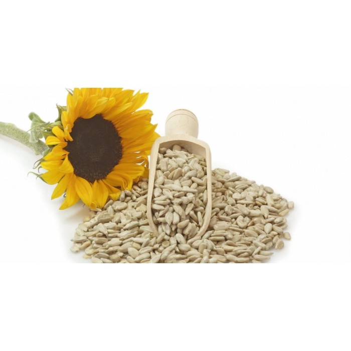 

Sunflower Seed 25 Kg Kuaci Biji Bunga Matahari Kupas