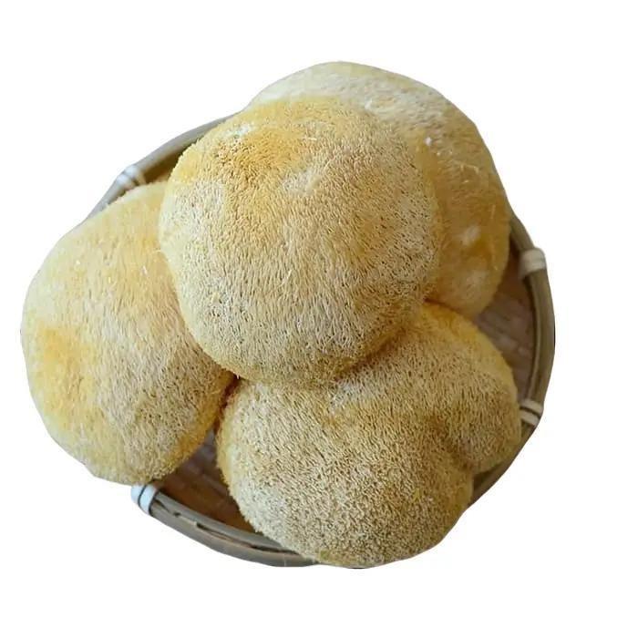 

PREMIUM Imatton hericium kering jamur kepala monyet hou thou ku - 250 gr