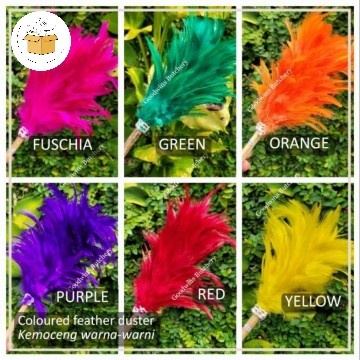 *Ready* Kamoceng Kemoceng Bulu Ayam Warna Warni Tebal