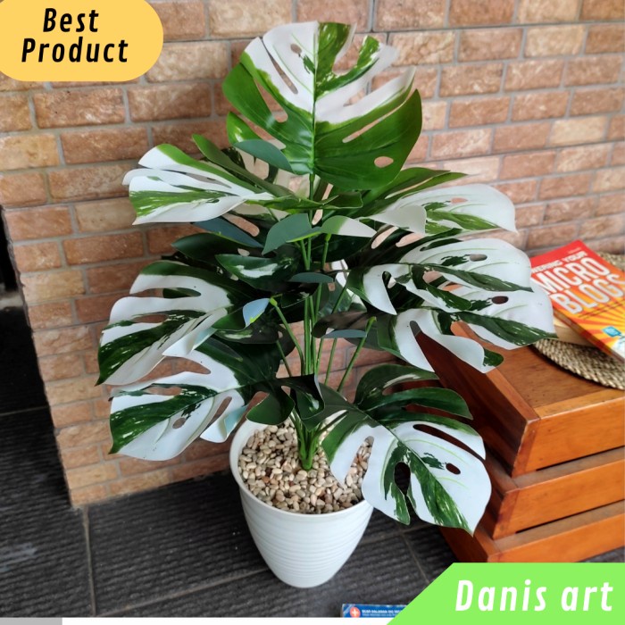 *TOP* MONSTERA VARIEGATA PALSU/ MONSTERA PLASTIK/ TANAMAN MONSTERA