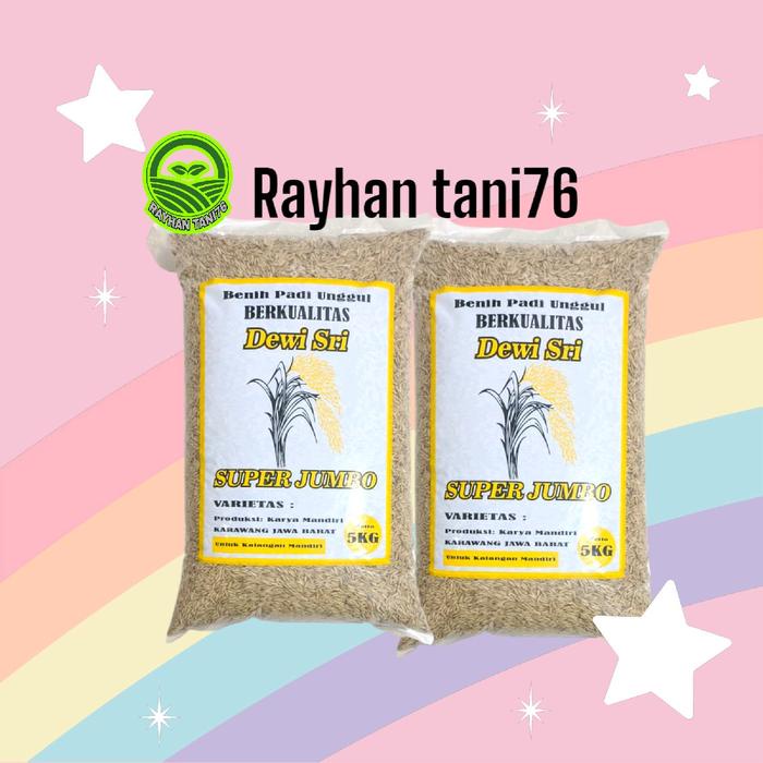 Benih Padi Ciherang Super Jumbo Cap Kapal Terbang - 1 kg - 5 kg - Bibit Padi Unggul Tanaman