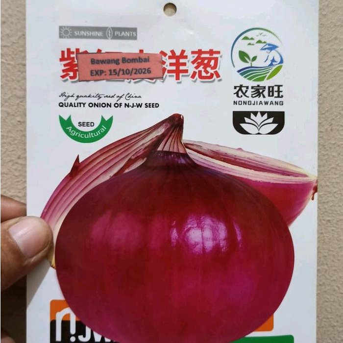 KEMASAN ORIGINAL BIJI BENIH BAWANG BOMBAY MERAH JUMBO IMPOR