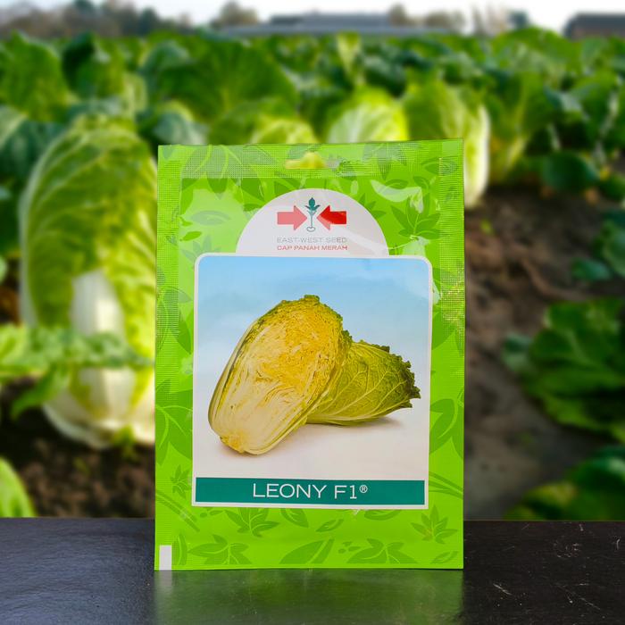 benih bibit sawi putih leony f1 panah merah 1000 biji