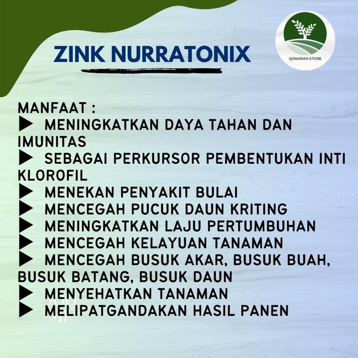 Terlaris Pupuk busuk buah cabe - ZINK NURRATONIX - OBAT SEMPROT Busuk cabe,cengek,cabai ijo terampuh