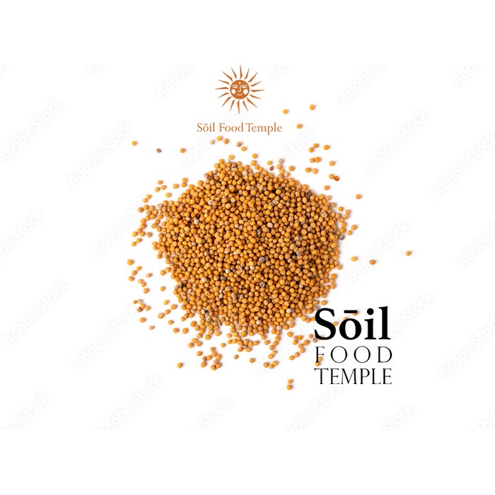 

Yellow Mustard Seed Organic Biji Mustard 500gr