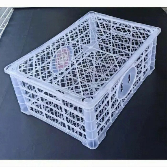 LIMITED EDITION [TERMURAH] Keranjang Plastik Persegi Bekas Buah Jeruk + tutup