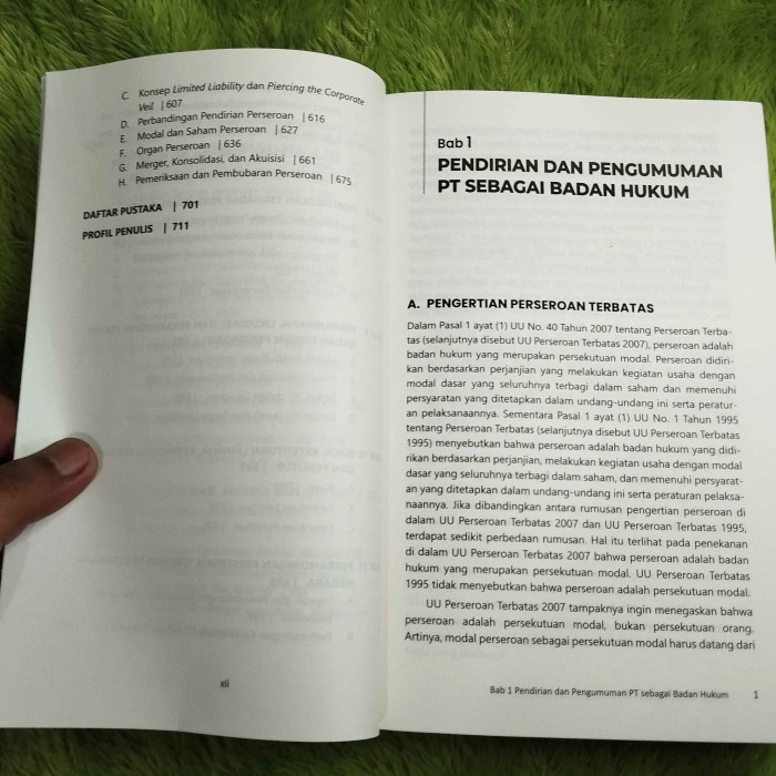 

Viral Buku Hukum Perseroan Terbatas (Mengacu Kepada Undang-Undang Cipta Kerja Uu. No. 6 Tahun 2023)