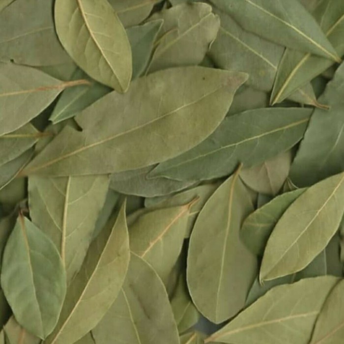 

Diskon Turky - Bay Leaves 500Gram / Daun Salam 500Gram Packing Aman