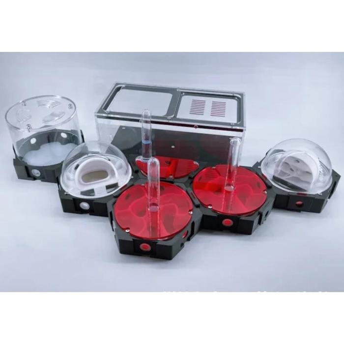 

TERBARU Formicarium Honeycomb GEN 1, Formicarium akrilik, ants nest, ant, gypsum nest, concerte