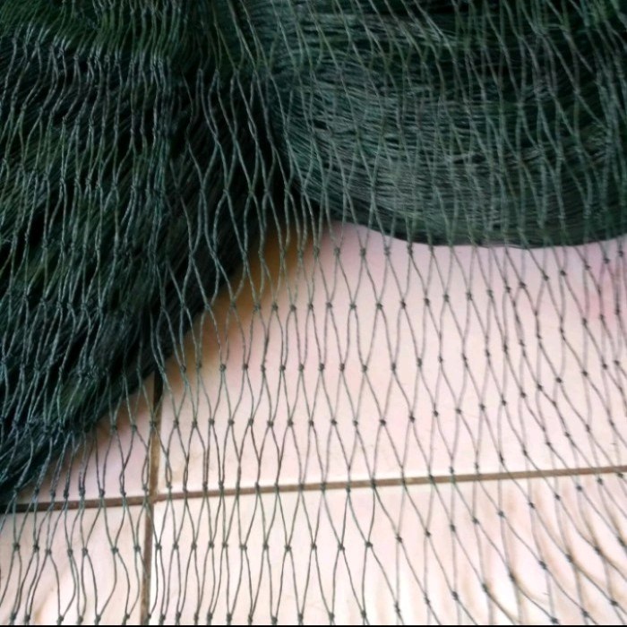 Terbaru Jaring Ayam Pagar Ayam 2x10 Meter Jaring Kandang Ayam Serbaguna Berkualitas