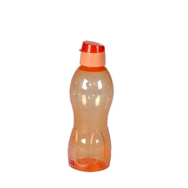Botol air minum Akvo bottle 600 ml lion star
