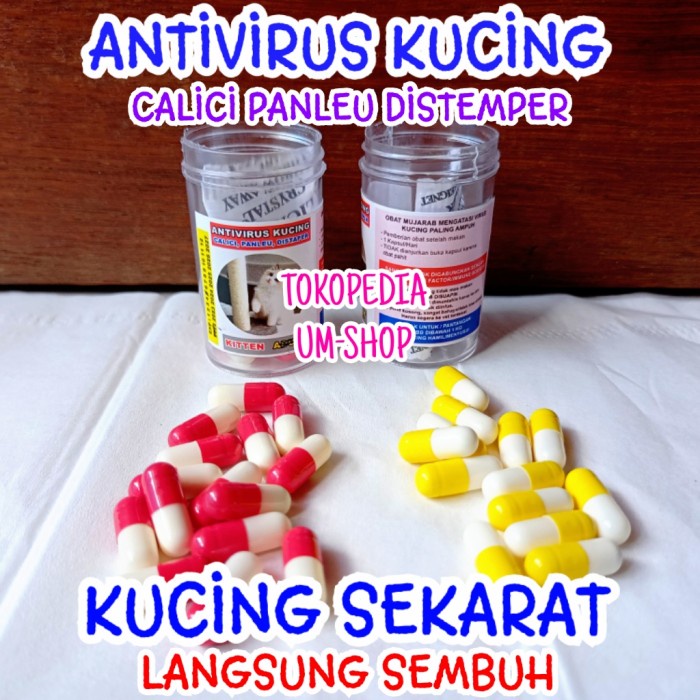 Obat Antivirus Kucing Calici Distaper Virus Panleukopenia