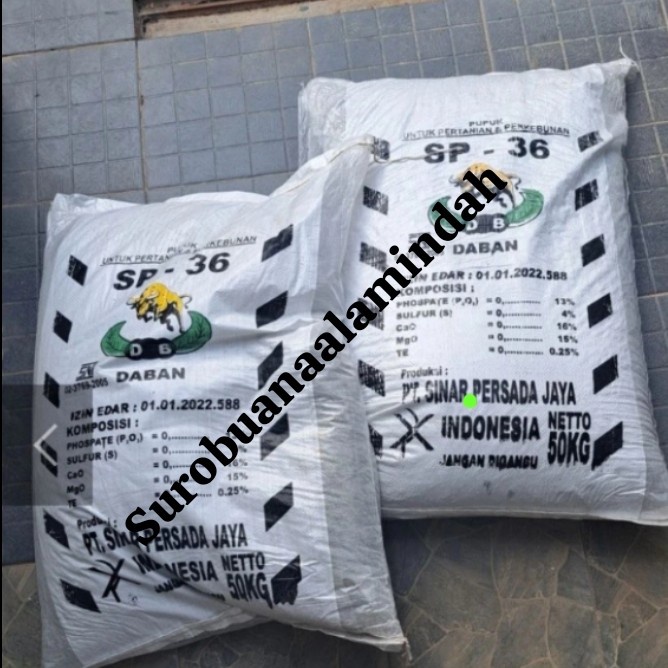 PUPUK TSP SP36 50KG KARUNG
