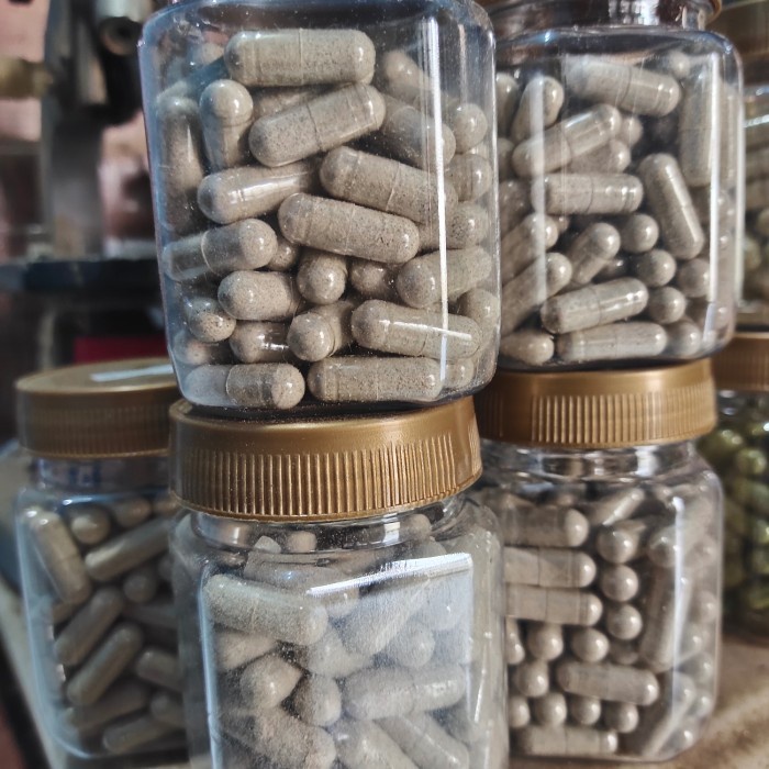 

(TopSeller) Kapsul Cacing Lumbricus isi 100 Kapsul