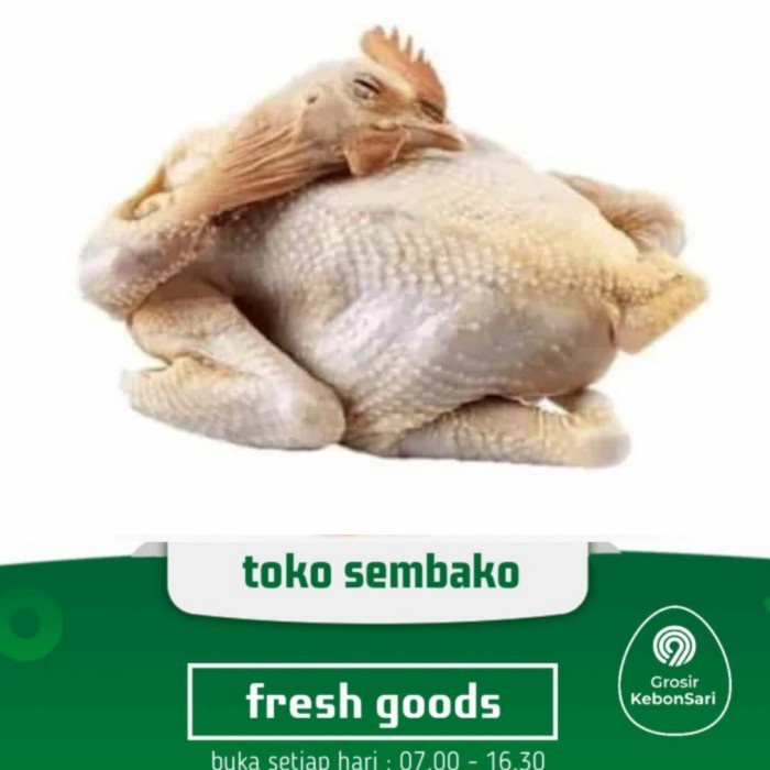 

(TopSeller) ayam kampung asli bukan pejantan segar 1 ekor (PO H+1)