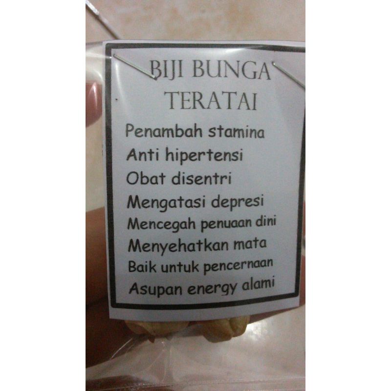 

A Biji Teratai Hokien Premium,/Lotus Seed/Lian Zi Hk 100Gram