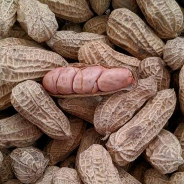 

SALE ( DISKON) ...!!!! Kacang Sangrai Super Biji Besar Kemasan 1 kg - Snack Makanan Ringan - Food