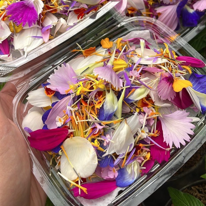 

Lezat- edible flower confetti mix