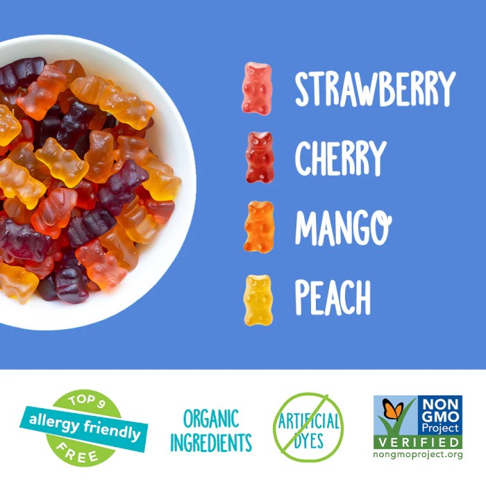 

YumEarth gummy bears vegan free gluten free yumearth candy bear jelly