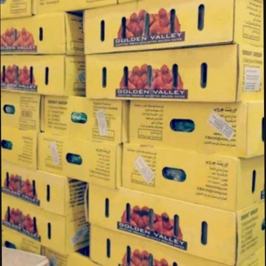 

Lezat- Kurma Mesir Golden Valley 1Dus berat 10KG