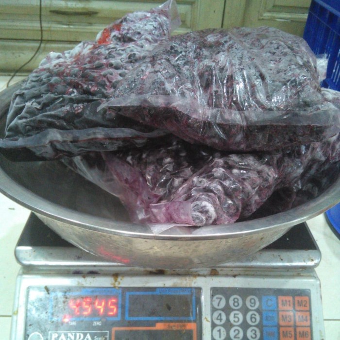 

Lezat- HARGA PROMO 2kg Buah Beku Blueberry Frozen IQF DIJAMIN MURAH