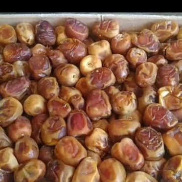 

Lezat- Kurma sukari al qosim rutob sukkari arab saudi 3kg kurma basah sukari