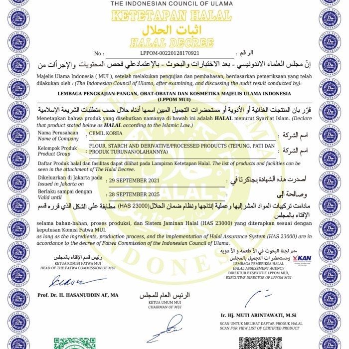 

Lezat- Paket Cemil 1 Topoki / Toppoki / Tteokbokki / Topokki Odeng & Saos