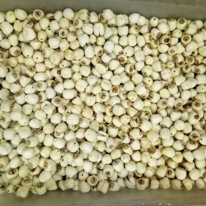 

500GRAM BIJI TERATAI LIAN ZI LIEN ZI LOTUS SEED LIANZHI LIEN ZHI LIANZI