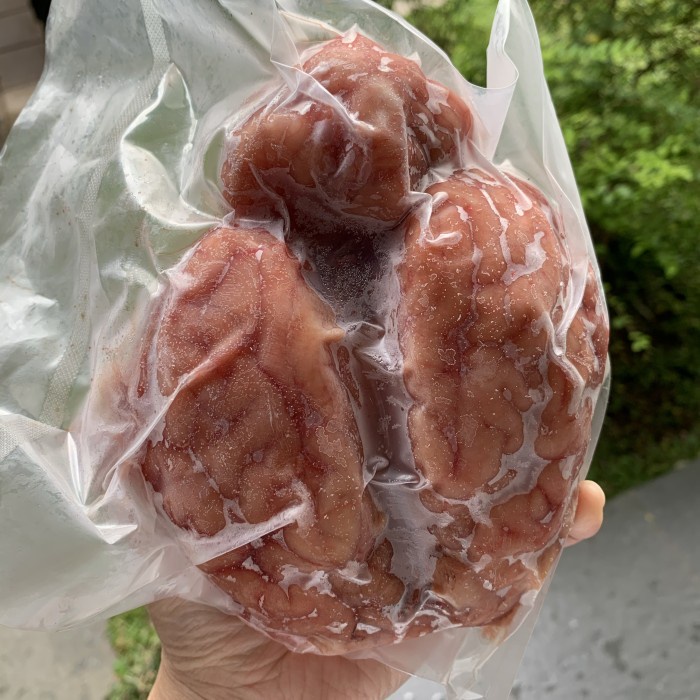 

Lezat- GRASSFED otak sapi per pack