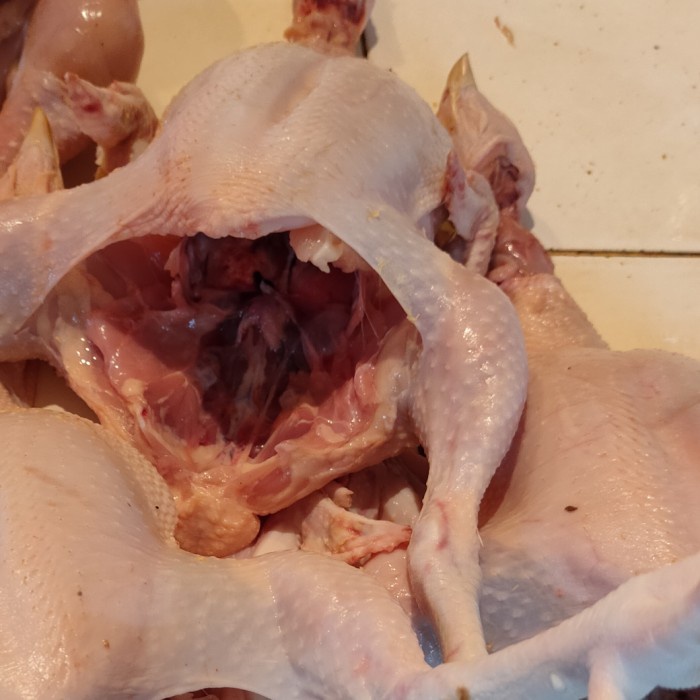 

Lezat- Ayam Potong Segar 1 Ekor 800gr