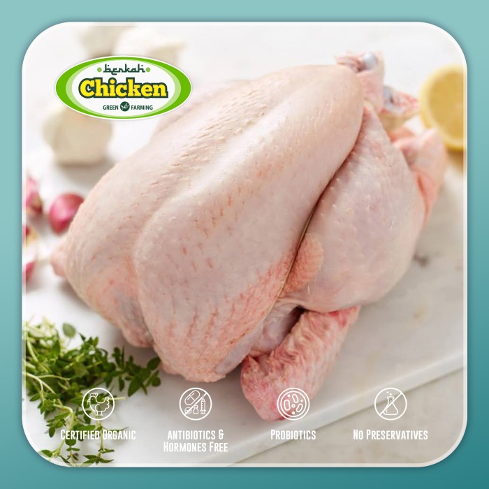 

Lezat- Ayam Broiler Utuh Organik Berkah Chicken