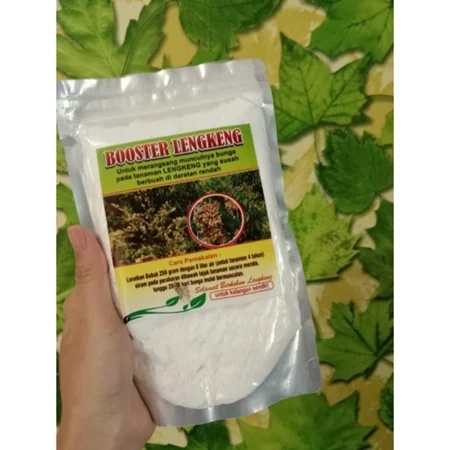 PROMO  Booster Kelengkeng Merah Cangkok Berbuah, Booster Kelengkeng Matalada, Booster Kelengkeng Mer