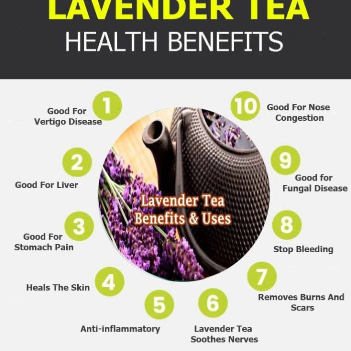 

BEST !! LAVENDER TEA : TEH BUNGA LAVENDER KERING ISI 30 TEA BAG
