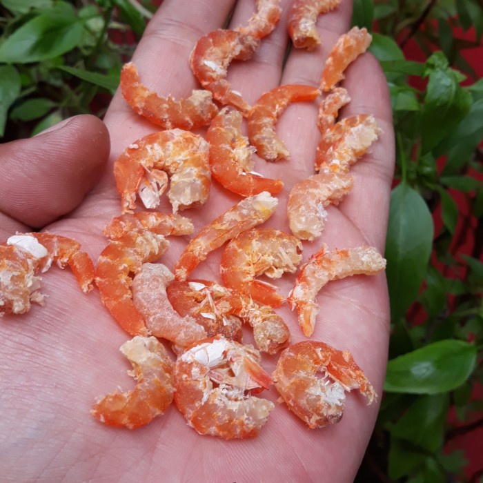 

udang kering Pontianak/ebi/hebi orange
