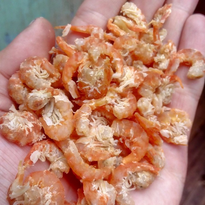 

hebi/ebi kalimantan/Pontianak super
