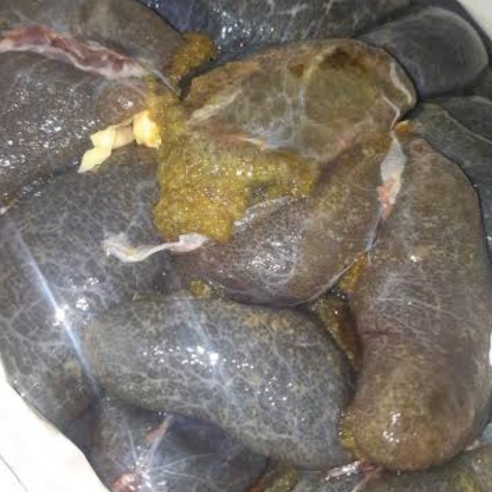 Ready umpan pancing galatama telur lele murah banget