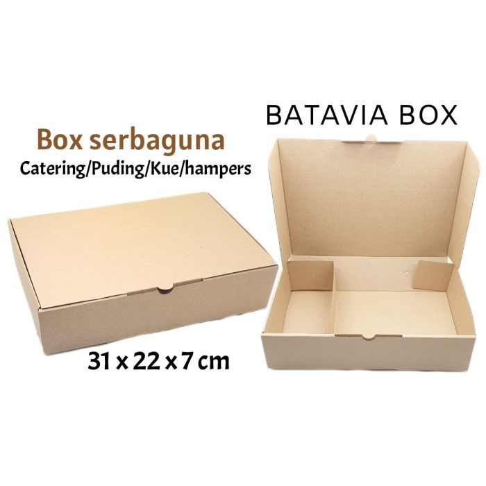 [Expert] Box catering serbaguna 31x22x7 sekat dalam