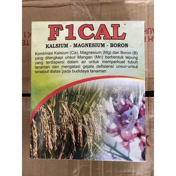 F1Cal+ Plus – Nutrisi Kalsium, Magnesium & Boron