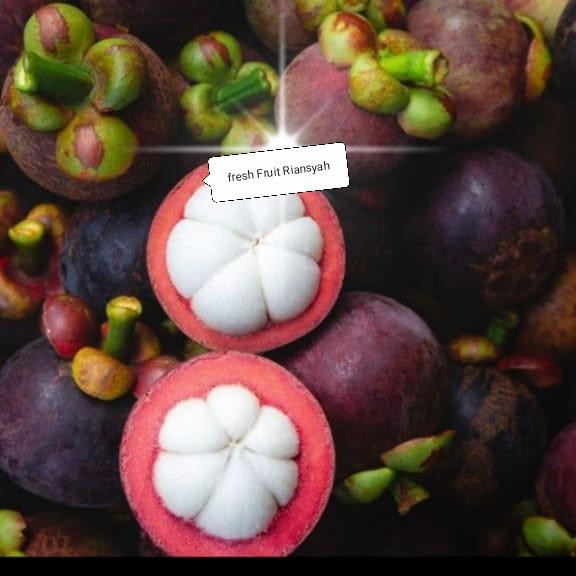 

BisaInstan- BUAH MANGGIS MANIS FRESH PER KG