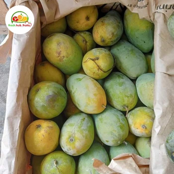 

BisaInstan- Mangga Harumanis