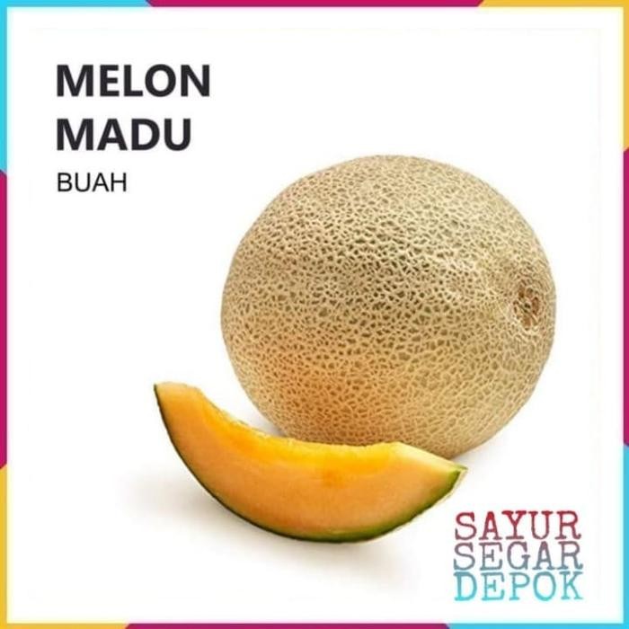 

BisaInstan- BUAH MELON MADU
