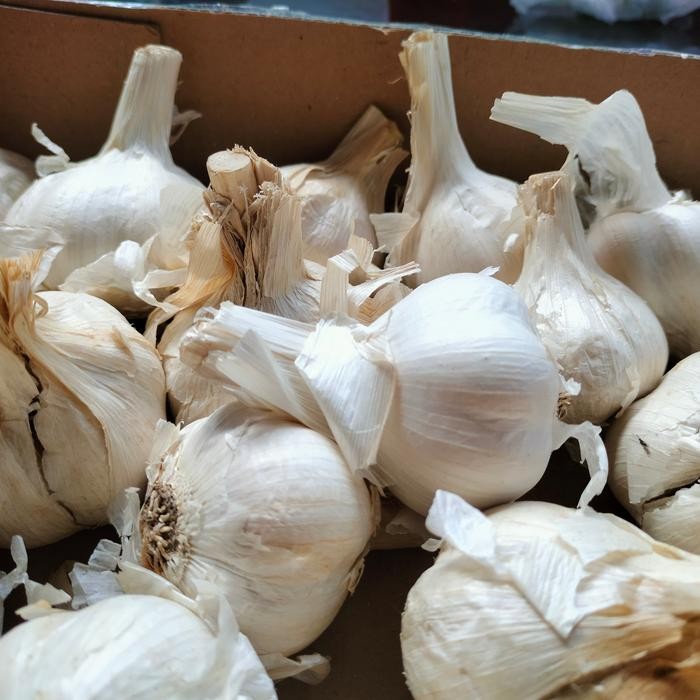 

BisaInstan- jual bawang putih kating 1 kg