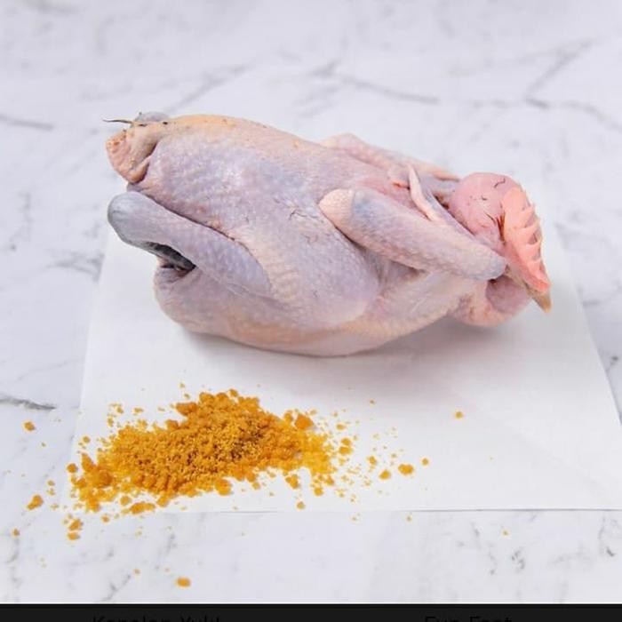 

Kirim,HariYgSama- Ayam kampung Fresh 1 ekor