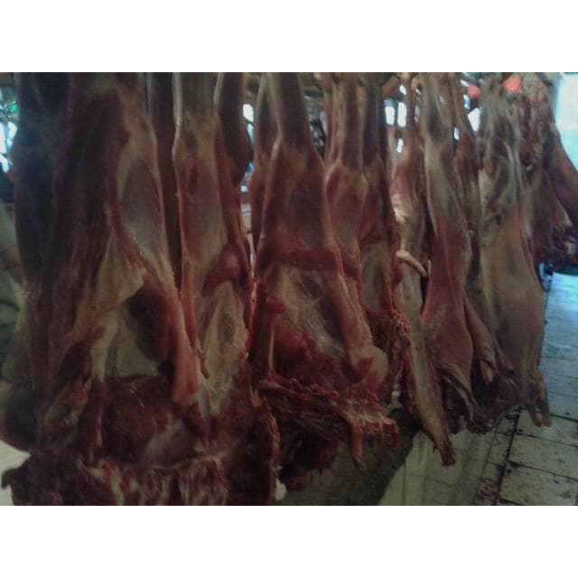

Kirim,HariYgSama- Paha Depan Daging Kambing