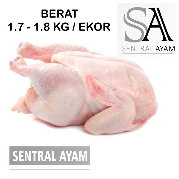 

Kirim,HariYgSama- Ayam Karkas Broiler Ayam Potong Utuh Negeri 1.7kg 1.7 kg Fresh Frozen