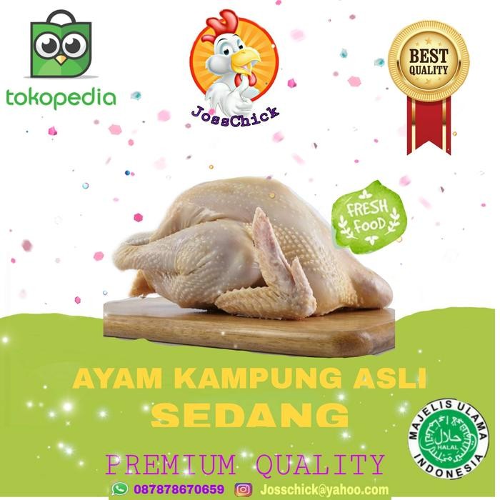 

Kirim,HariYgSama- Ayam Kampung / Ayam Kampung Asli Sedang 0.8-0.9 kg/ekr