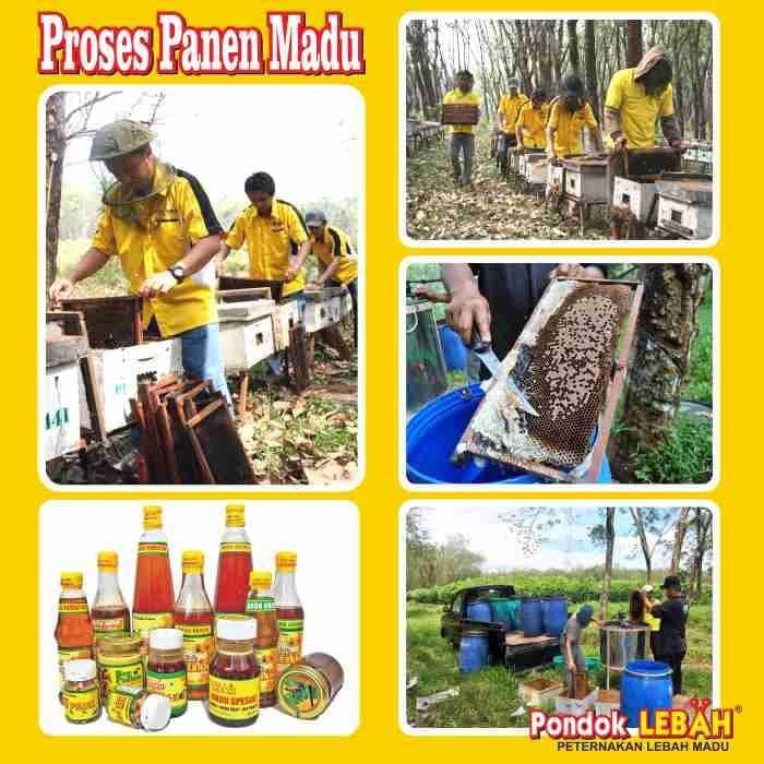 

Terlaris- Madu Spesial 350Gr Pondok Lebah -Gratisongkir